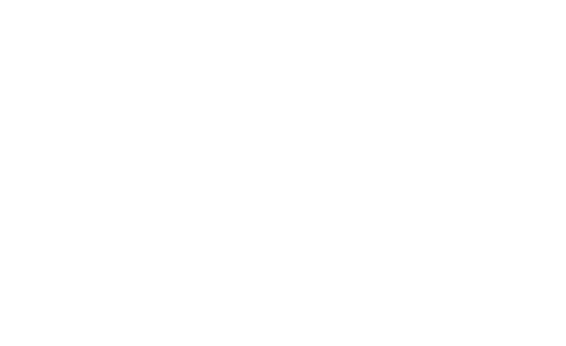 Shuttle Expert